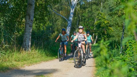 Wegbeschaffenheit auf der Familien-Wandertour von Teterow zur Burgwallinsel