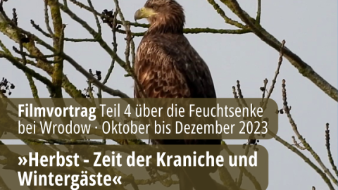 OFFEN2024_BUND Wrodow 4