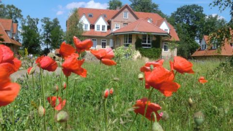 Idyllisches Gutshaus