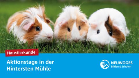 neuw-konzern_externe-komm_tierheim_aktionstage-24-haustierkunde