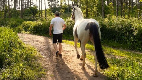 Reiten in der Mecklenburgischen Seenplatte