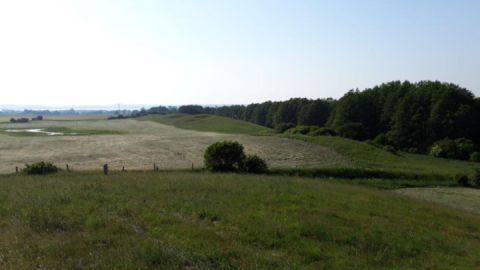 Ausblick auf die Landschaft Sommersdorf