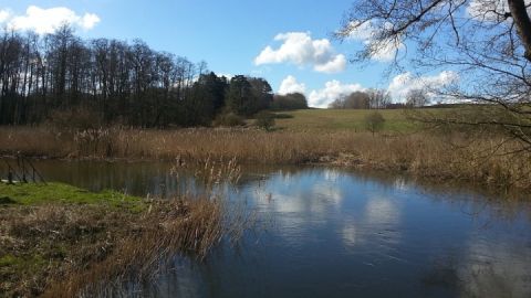 Blick auf die Naturwiesen