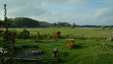 Blick in den Garten - Projekthof Karnitz