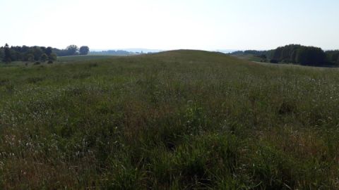 sommersdorfer-os-blick-richtung-see