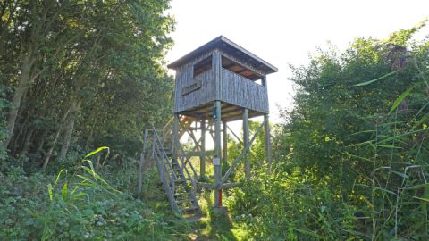 Aussichtskanzel Seeadler_2