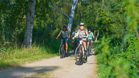 Mit dem Rad zur Burgwallinsel Teterow