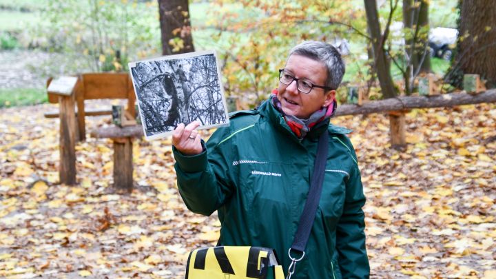 Winterführung im BÄRENWALD Müritz